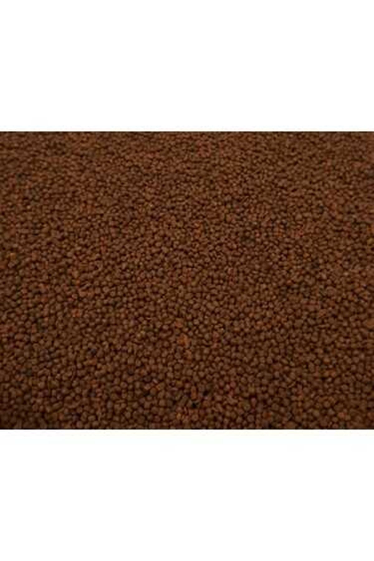 Akvaryum Dip Balık Yemi 1 mm 1 Kg