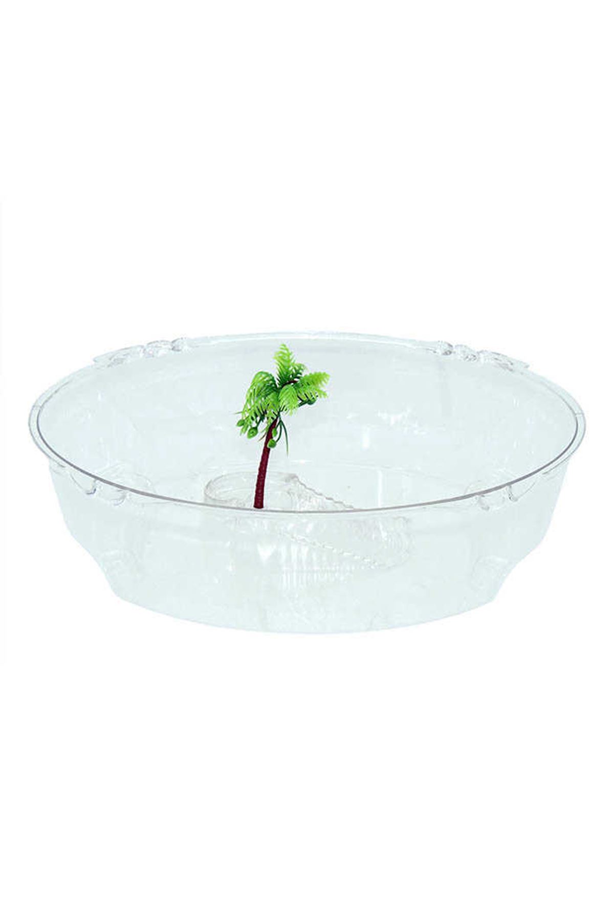 Exotic Kaplumbağa Bahçesi