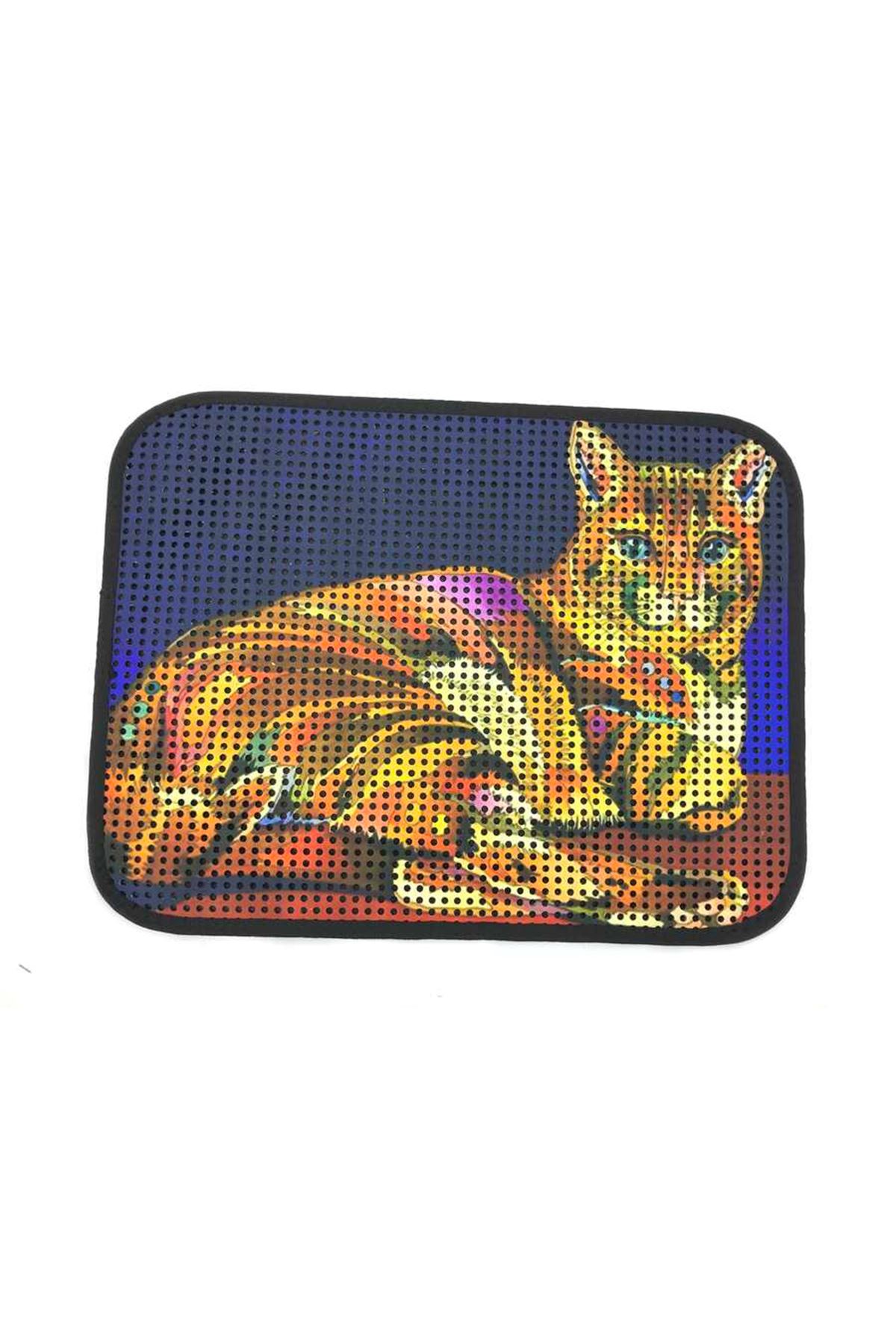 Kedili  Kedi Tuvaleti Paspası