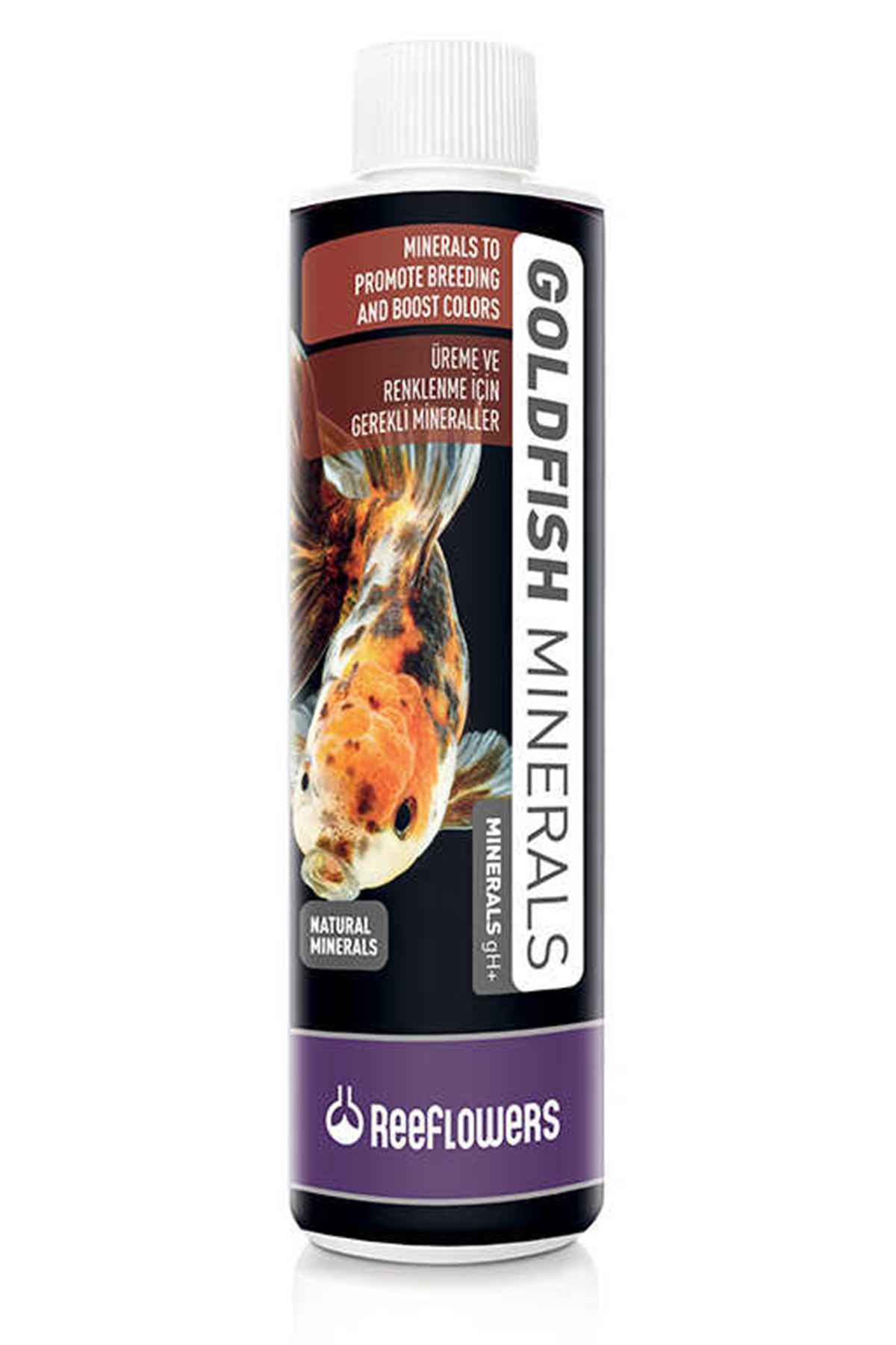 Goldfish 50ml