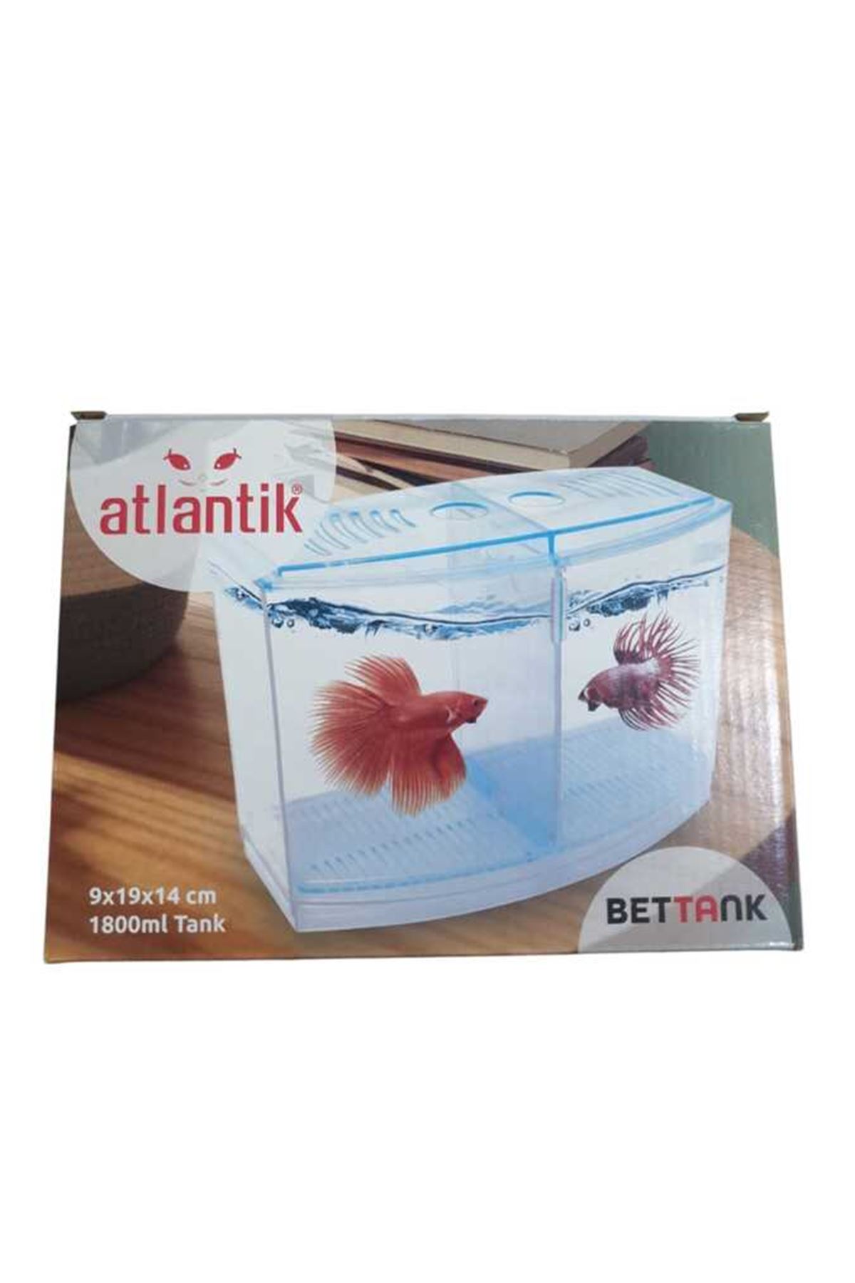 Atlantik Betalık pembe-mavi-Yeşil