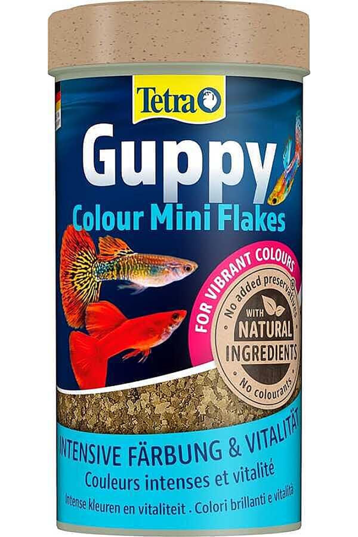 Tetra Guppy Clour Mini Flakes  Lepistes Pul  Balık  Yemi 100 ml