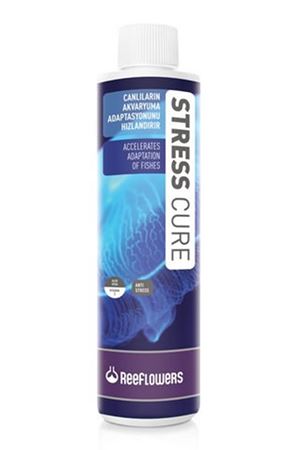 StressCure 85 ml.