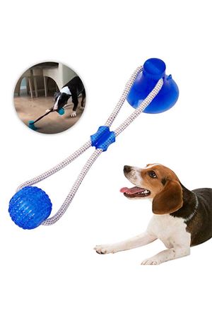 Köpek Oyuncağı Vantuzlu Top