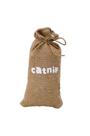 Eastland Kraft Catnip Kedi Çuvalı 16x8 cm