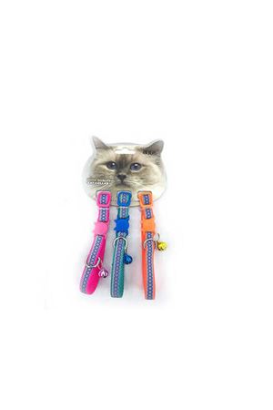İnci Kedi Boyun Tasma