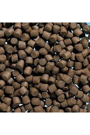 Akvaryum Dip Balık Yemi 6 mm 1 kg