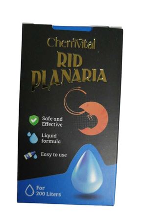 CHEN VİTAL RID PLANARİA