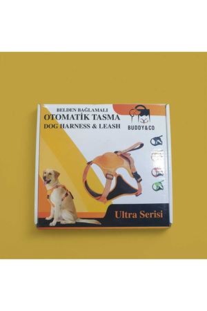 Otomatik Tasma Belden Bağlamalı