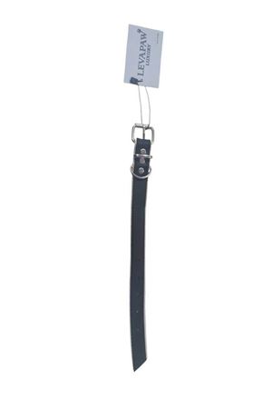 Kolon Üstü Deri Köpek Tasması 2,5 cm  Xs  boy