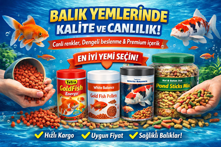Balık Yemi Seçimi Nasıl Yapılır?