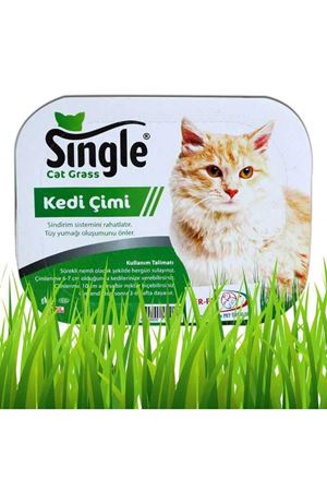 Single Kedi Çimi