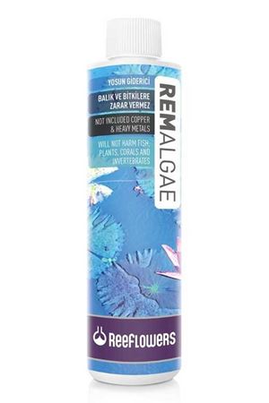 RemAlgae - Yosun Giderici 250 ml