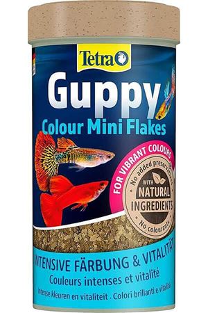 Tetra Guppy Clour Mini Flakes  Lepistes Pul  Balık  Yemi 100 ml