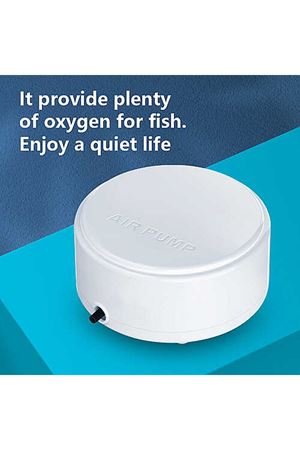 Jeneca AP-601 Hava Motoru