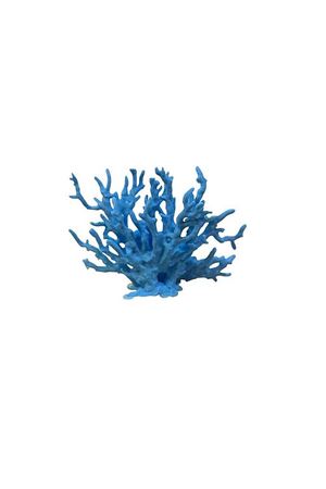 Dal mercan dekor 17 cm x 5,5 cm x 12 cm