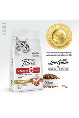 Felicia Az Tahıllı Kuzu Etli Yetişkin Kedi Maması 2kg