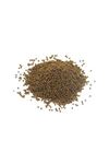 Akvaryum Dip Balık Yemi 2 mm 1 kg
