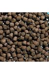 Akvaryum Dip Balık Yemi 6 mm 1 kg