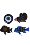 Fishka Balık Yapışkanlı Derece