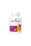BioPetActive Silycumin 45tablet Kedi ve Küçük Irk Köpekler için Zerdaçal ve Devedikeni Tableti 67gr