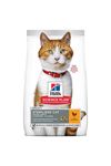 Hill's Tavuklu Kısırlaştırılmış Kedi Maması 8+2kg
