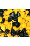 REF-185 Sarı Siyah Fanus Çakılı 350 gr 15 li Pa