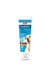 BioPetActive VitaliDOG Paste Yetişkin Köpekler İçin Vitamin Macunu 100 ml
