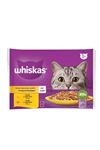 Whiskas Pouch Kedi Tavuklu Hindili  Kümes Çeşitleri (4 lü Paket)