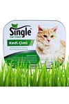 Single Kedi Çimi