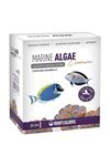 Marine  Algae  Cream 5Grx20