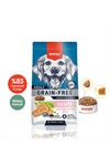 Wanpy Tahılsız Somonlu Yetişkin Köpek Maması  1,5Kg